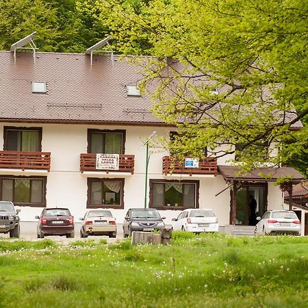 Cabana Barlogul Lupilor Villa Berevoesti Kültér fotó