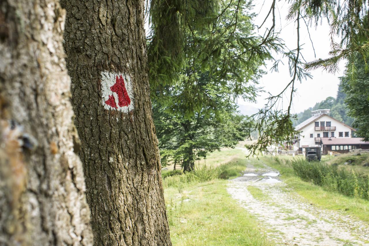 Cabana Barlogul Lupilor Villa Berevoesti Kültér fotó
