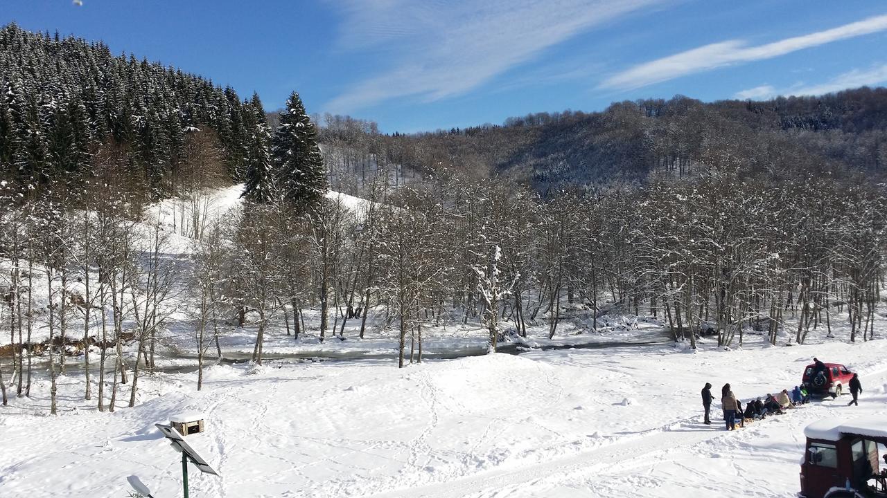 Cabana Barlogul Lupilor Villa Berevoesti Kültér fotó
