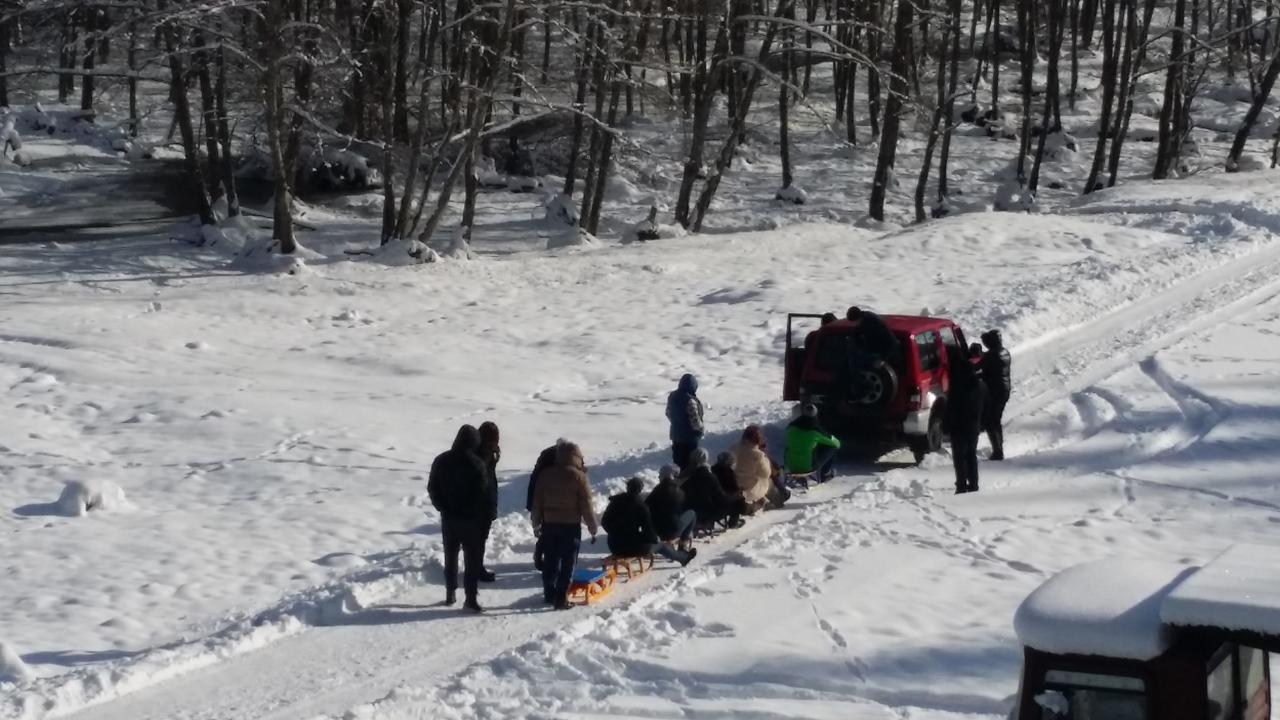 Cabana Barlogul Lupilor Villa Berevoesti Kültér fotó